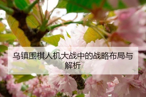 乌镇围棋人机大战中的战略布局与解析
